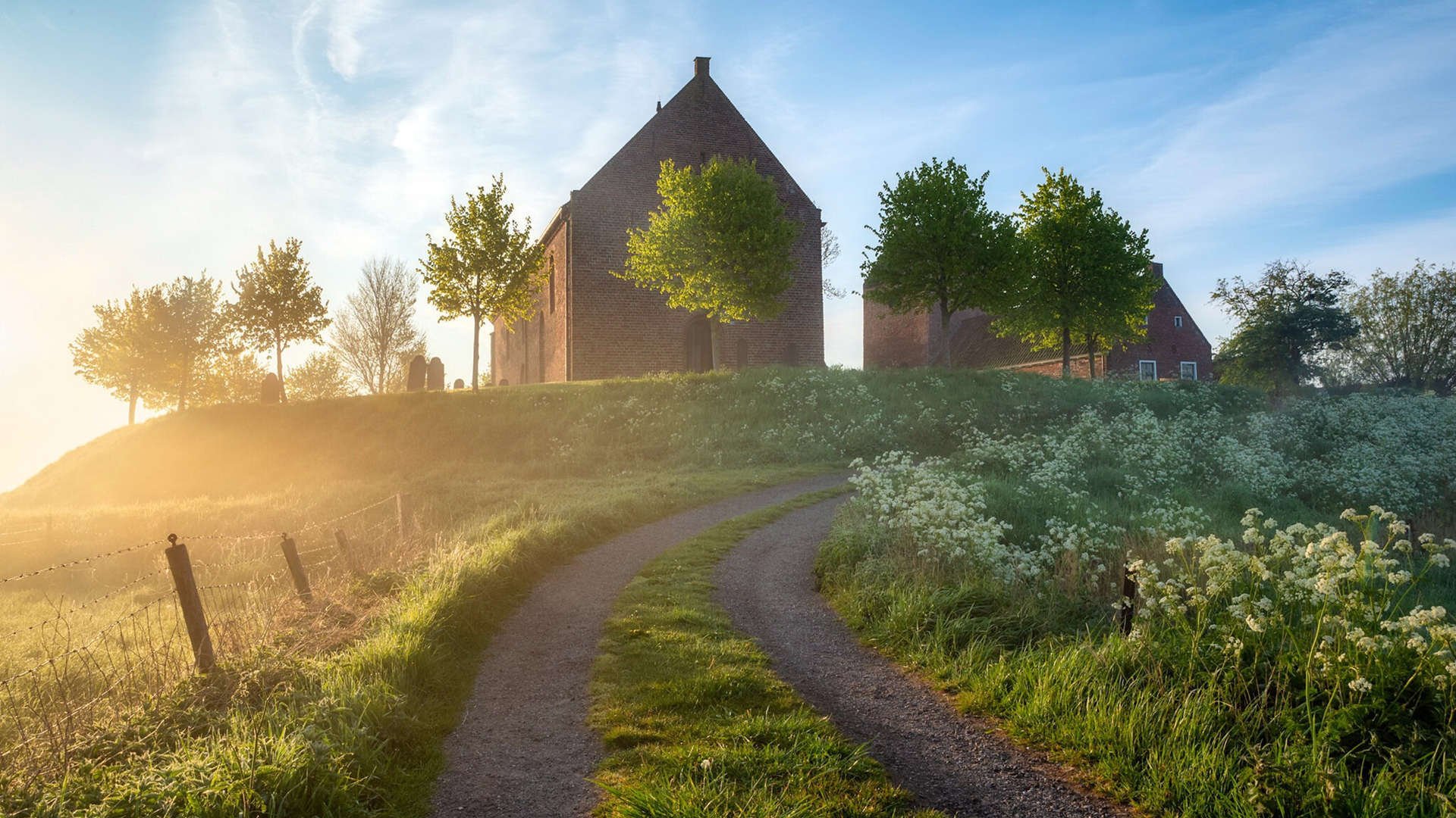 引擎轰鸣下的逆转序章，阿隆索的火热何以点燃雷诺的阴影？