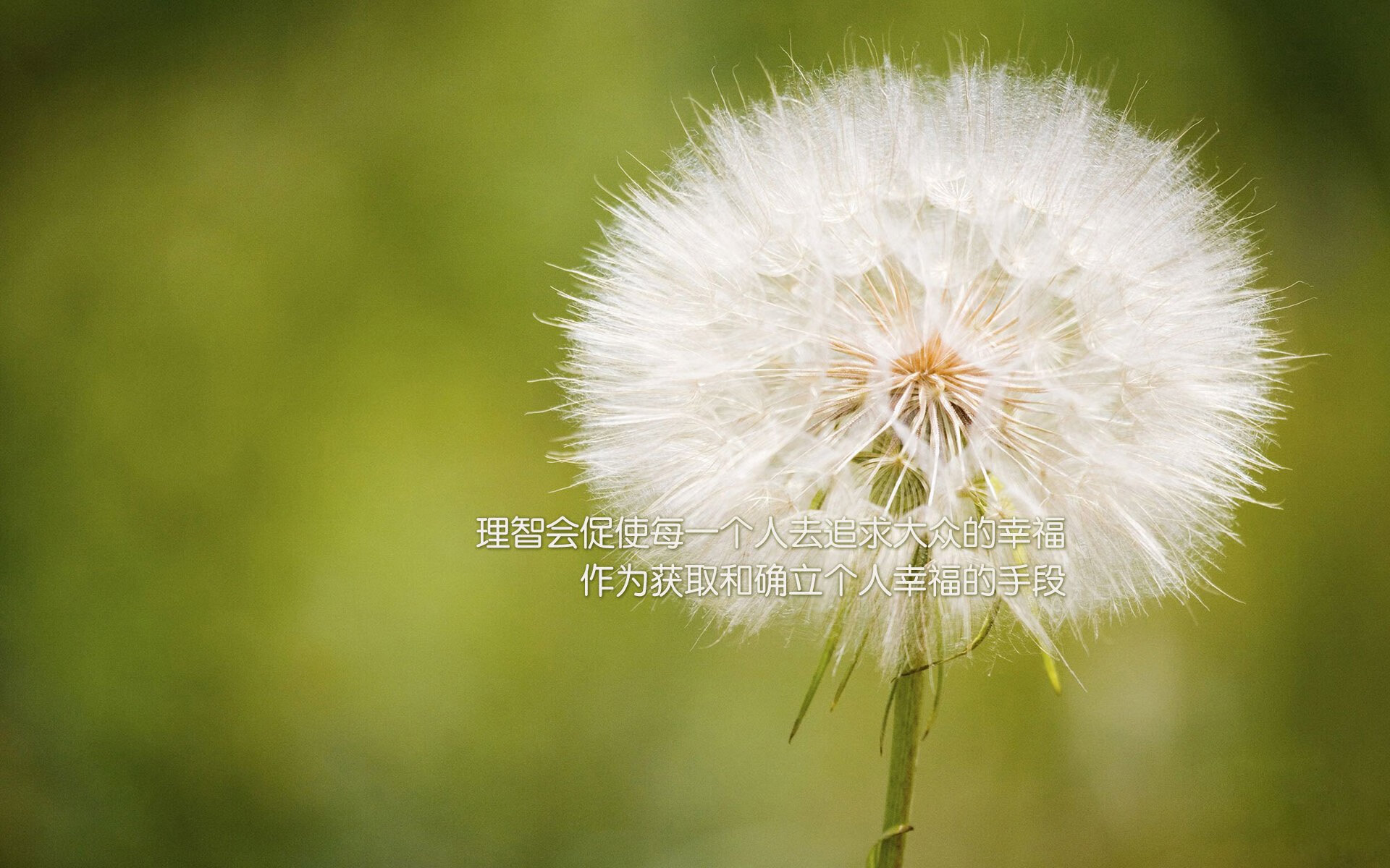 东瀛风暴席卷伊比利亚，日本队横扫葡萄牙，林高远制胜一球定乾坤