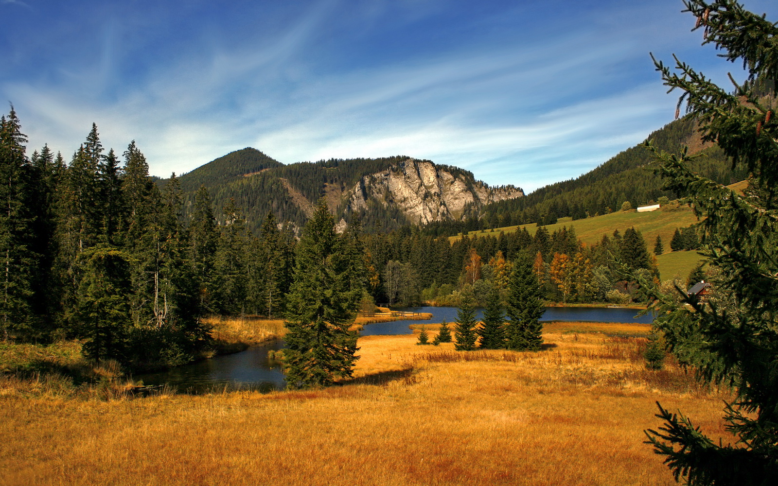 钢铁洪流下的孤岛，当禁飞区在字母哥面前沦为传说活塞对阵开拓者一役，映照现代篮球最极致的攻防矛盾与英雄主义