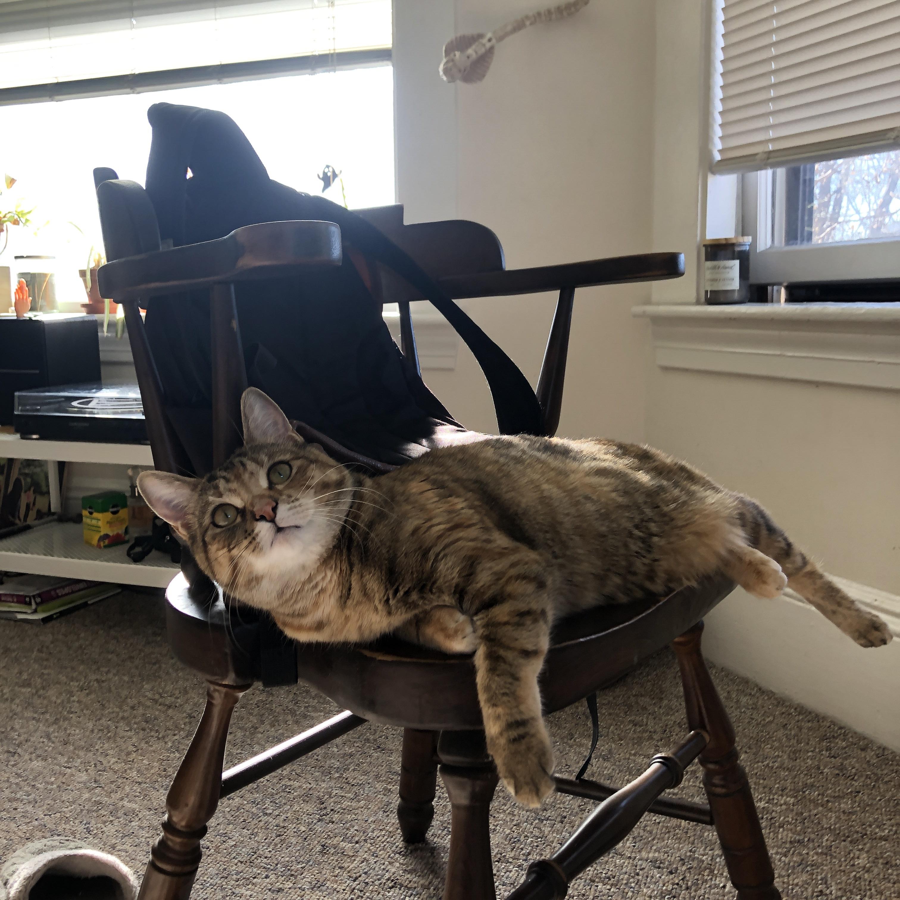 爱游戏官网-赛道与球场的双重奏，当引擎嘶吼的街道遇上金色浪潮淹没的火焰