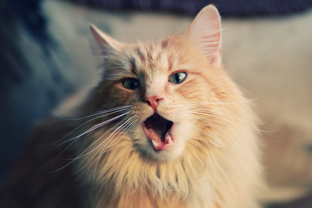 冠军之夜，老将对少年耳语，23年前，哈登也是这样告诉我