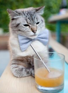 爱游戏在线-土耳其铁骑横扫西班牙，托尼王者归来领跑意甲焦点战