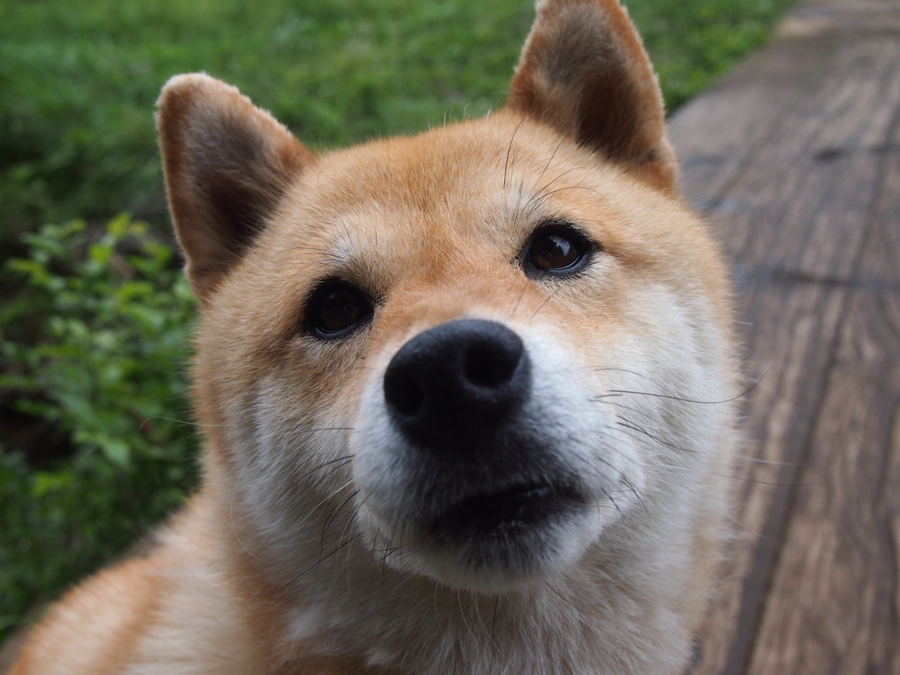 爱游戏-东方战术破解宇宙勇，欧文封神夜重塑联盟格局