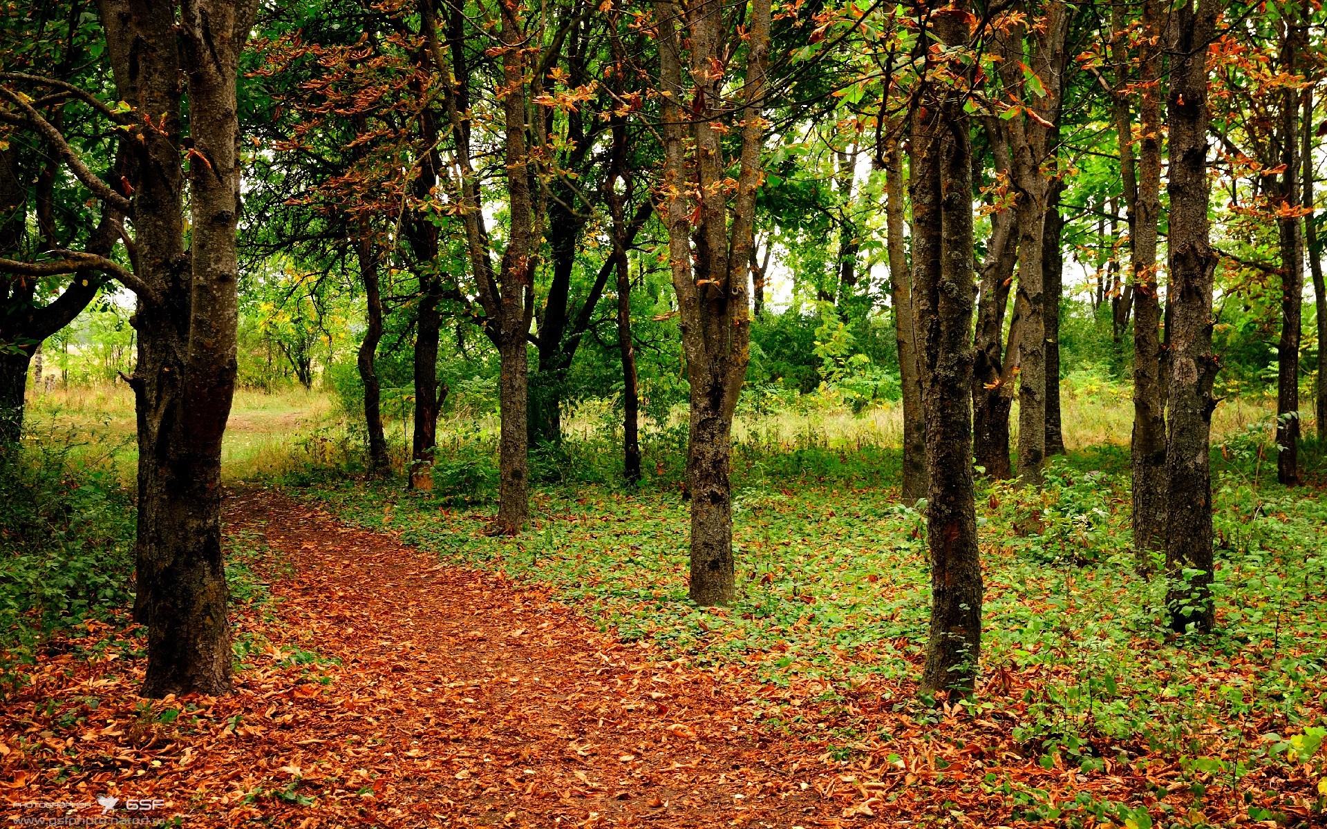 终局新章，当未来站上铁王座—记一场跨越次元的NBA终极之战