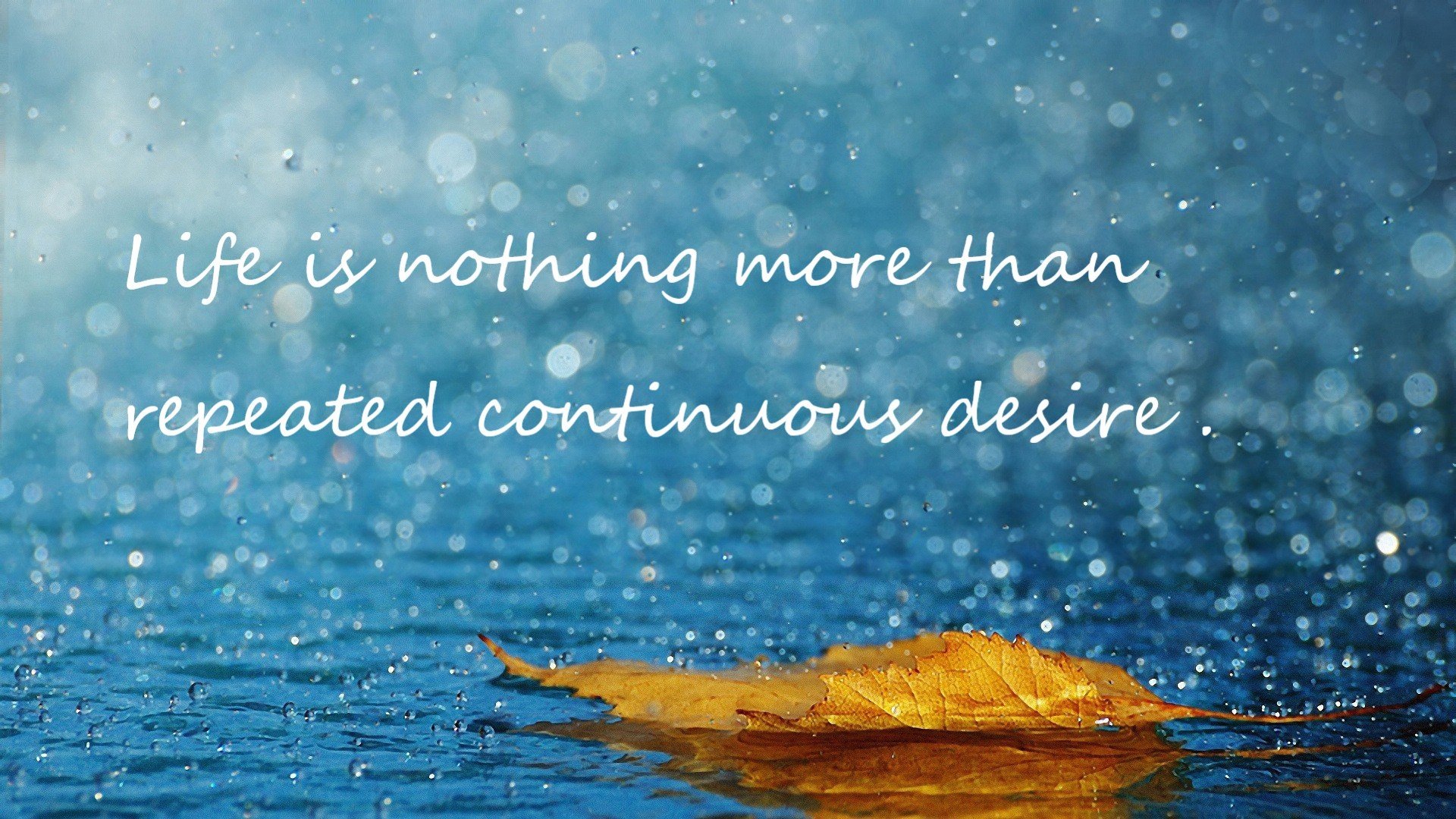 沉默武士，2026世界杯之夜，酋长球场的亚洲交响