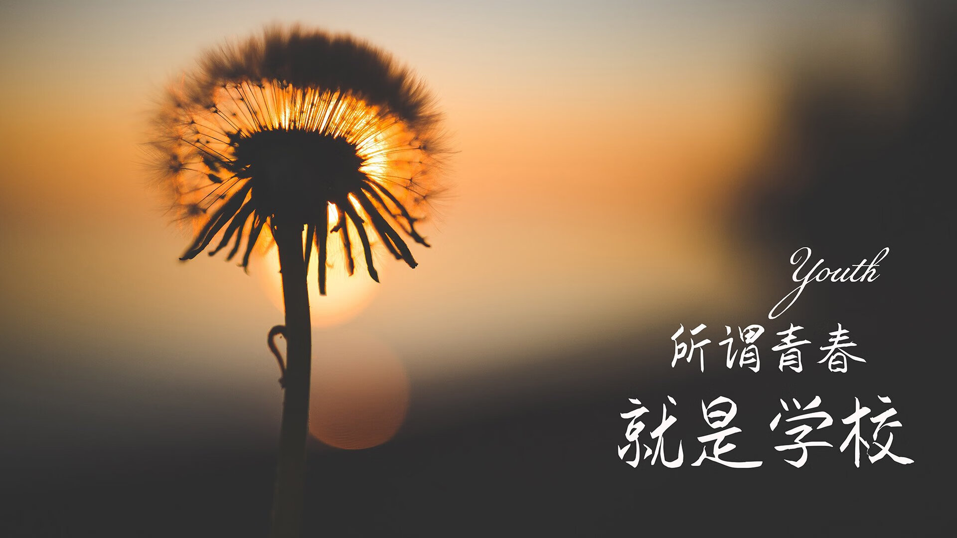 一瞬定乾坤，2026世界杯E组生死战，京多安致命一击送葡萄牙力克加纳