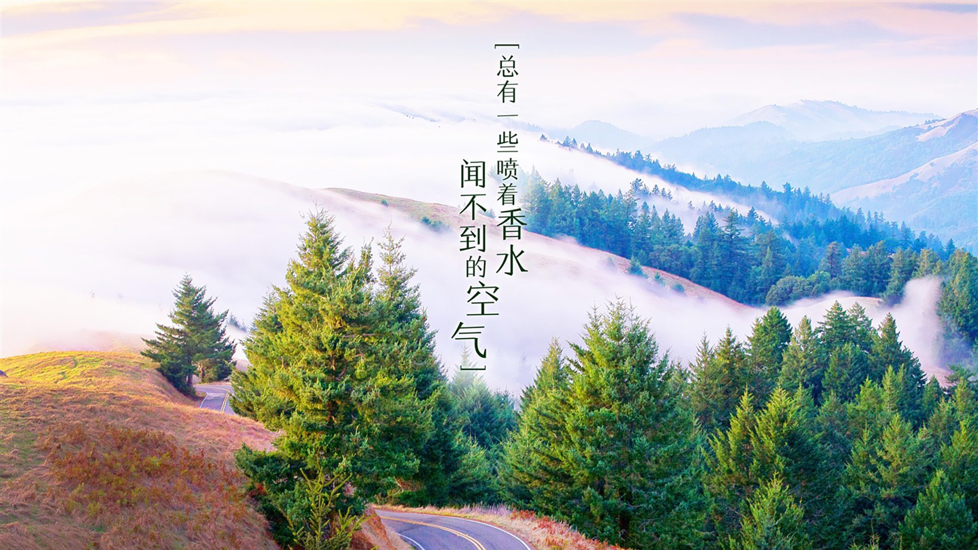 爱游戏娱乐-伊比利亚的救赎，2026，范戴克的孤勇与西班牙的复仇狂想曲